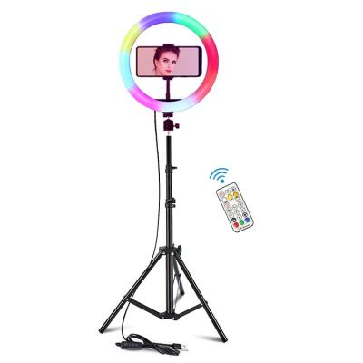 China ABS 10 Inch Voice Control RGB LED Ring Fill Light with Selfie Holder for YouTube Tik Tok Video Ring Light for sale