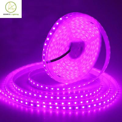 China Super Bright 12V High Brightness Drip Strip 5050 SMD 300LED IP65 RGB LED Waterproof Strip for sale