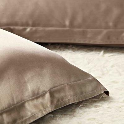 China Non-Toxic 19 Mm 100% Pure Natural Mulberry Silk Pillow Case For Hair And Skin for sale