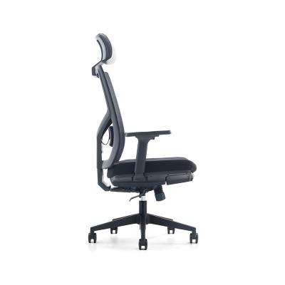 China Office Supply (Height) Adjustable High Quality Nylon Ergonomic Backrest Home Office Chairs for sale