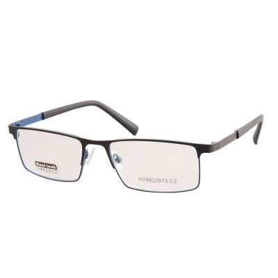 China Slim Reading Glass Standard Fitted Spring Hinge Readers Glasses For Men And Women for sale