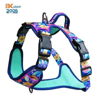 China Low MOQ Reflective Amazon Dog Harness DETACHED Dog Leash for sale