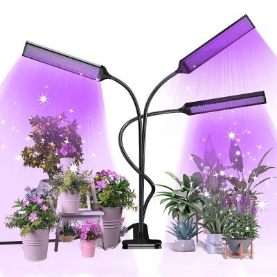 China Seed Seed Planting 30W Grow Lights Full Spectrum for Indoor Plants with 9 Level Cyclic Dimming and 3/9/12H Timer LED Grow Light for sale