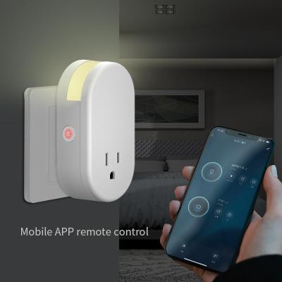 China Alexa Echo Google Home Hot selling product smart plug 220v with wholesale price for sale