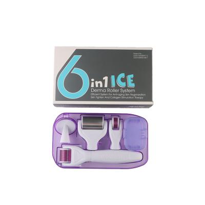 China Anti-puffiness New Arrival skin derma care beauty ice roller 6in1 derma roller microneedle cooling facial kit for sale