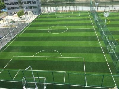 China Eco-Friendly 11000 Dtex Artificial Turf Grass Anti Ultraviolet for sale