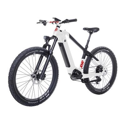 China Wholesale Price Luxury Long Distance Bike Mid Motor Carbon Off Road Electric Power Mountain Road E-Bike for sale