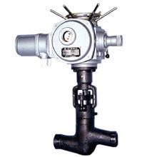 China Pressure Sealed Globe Valve for sale