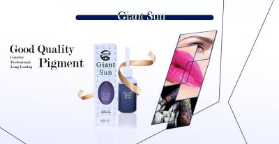 Cina GIANT SUN Semi Permanent Makeup Pigment / Original Tattoo Ink 20ml For Eyebrow Lip Tattoo in vendita