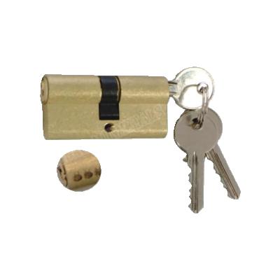 China Euro Lock Cylinder Sealing Pin In Top Brass Lock Entry Profile And Door Key Looks for sale