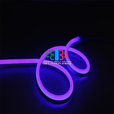 China Durable Commercial Use Outdoor Colorful Flashing Engineering Decorative Landscape Art Flexible Waterproof Led Neon Light for sale