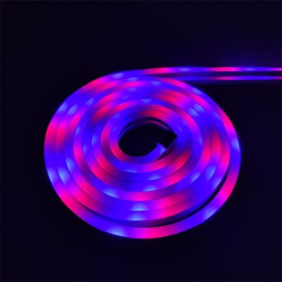 China Commercial Use 110v 220v Party Decorative Customizable Colorful Landscape Art Flexible Waterproof 12v RGB Led Neon Pendant Light for sale