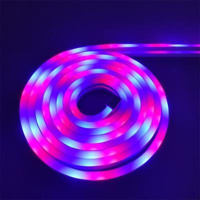 China Flexible Outdoor Hotel DC12V SMD3838 RGB 96led/m IR Control Led Strip Light Neon Lamp for sale