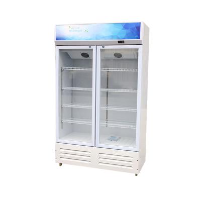 China Wholesale Cheapest Single-temperature Smooth Surface Double Door Commercial Drink Fridge for sale