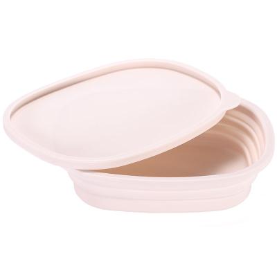 China BPA Silicone Heatable Self Storage Food Container With Lid Microwave Food Container for sale