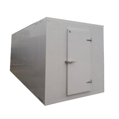 China Single-Temperature Large Capacity Cooler Room Manufacture Customized Frozen Walk In Freezer For Restaurant for sale