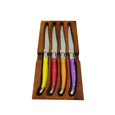 China Sustainable Dinnerware Steak Knives Set Plastic Colored Plastic Handle Cutlery Set for sale