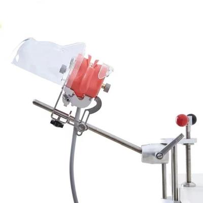 China Professional Dental Teaching Factory Phantom Head Dental Simple Dental Phantom Simulator for sale