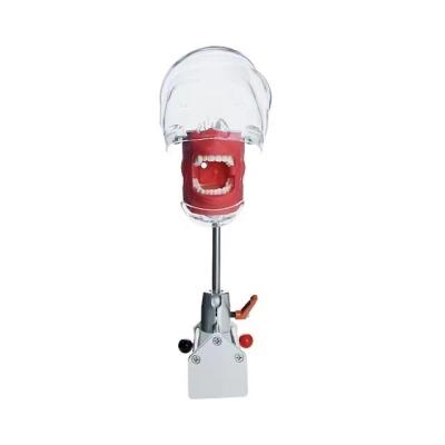 China A+ Grade Dental Phantom Head Dental Simulator Single Dental Teaching Quality for sale