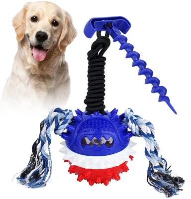 China Viable Interactive Dog Chew Toys Bite Hard Molar Dog Toys Squeaky Ball with Teeth Cleaning and Food Dispensing Features for sale