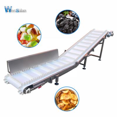 China Factory Price Customized Servo Motor Food Processing Conveyor Belt Machine for sale