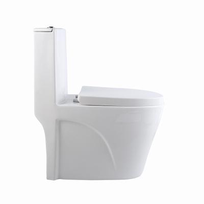 China Non-intelligent Double-flush Hotel Bathroom Porcelain Common One Piece Toilet for sale