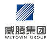 China Wetown Electric Group Co.,Ltd.