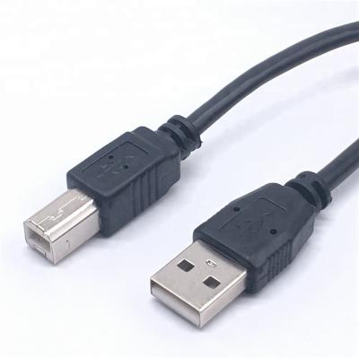 China COMPUTER USB Printer Cable 2.0 Scanner Cable Type A To B Type B Male 1m 2m 3m 4m 5m Port for sale