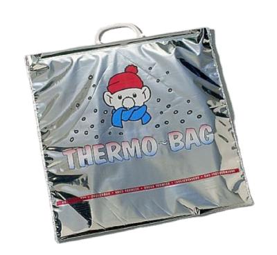 China Factory new waterproof custom style pizza thermal packaging bag for cold food for sale