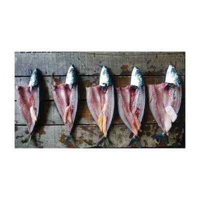 China Vitamins X7 Good Quality Seafood Frozen Fish Whole Round Pacific Mackerel Maker Scomber Japonicus for sale