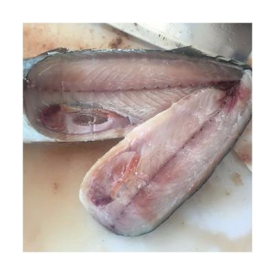 China New Stock Vitamins X166 Frozen Pacific Mackerel Manufacturer Fish SCOMBER Frozen Mackerel Fish JAPONICUS for sale