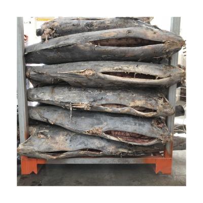 China Vitamins HGT Frozen Sword Marlin Fish Sail Frozen Smooth Body Fish for sale