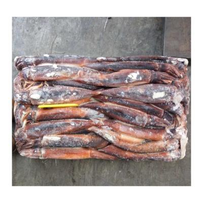 China HACCP Argentina squid illex nutritious frozen squid for market for sale