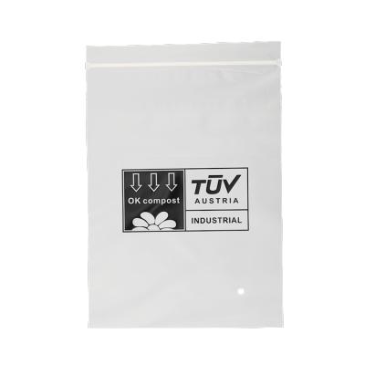 China BIODEGRADABLE Eco Friendly Non Plastic Bag & Compostable Ziplock Bag Biodegradable Valve Bag (AD190) for sale