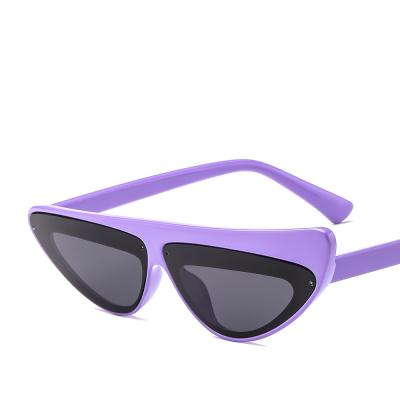 China Cheap Fashion Sunglasses Cat Eye Sunglasses Women Small PC Triangle Sunglasses 2021 Purple for sale