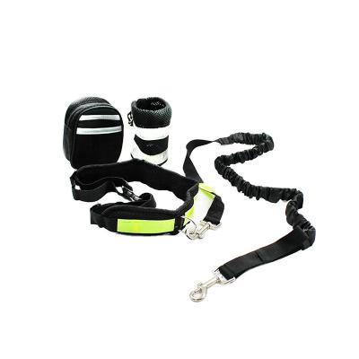 China Pet Viable Hands Free Running Waist Bag Reflective Stripe Dog Training Jogging Bungee Stretching Leash For Running for sale