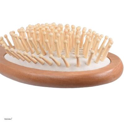 China Professional Hot Selling Cushion OEM Supermarkets Products Wet Dry Wet Bamboo Brush For Hair for sale