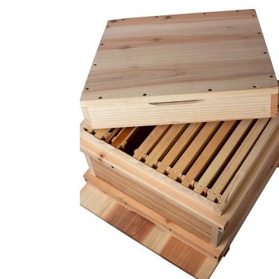 China Native Bee Farms 7 Frames Korean Hive Wooden Bee Hive For Beekeeping for sale