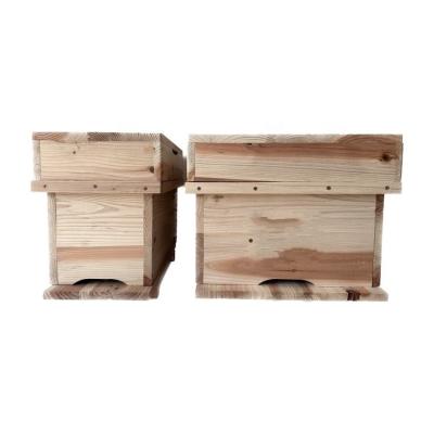 China Native Wooden Bee Farms 4 Frames Beehive Box Korean Bee Hive For Beekeeping for sale