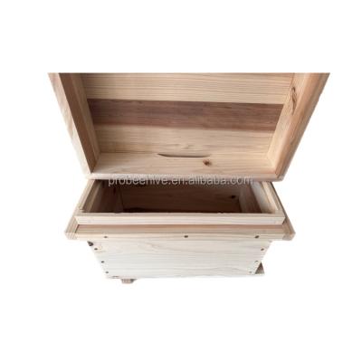 China Korean Native Bee Farms Beekeeping 4 Frames Mini Beehive Bee Box For Beekeeping Bee Hive Box for sale