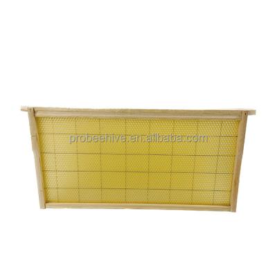 China Korean 480 Beehive Frame Beehive Frame Beekeeping Farms Pine Wood Hive Frame for sale