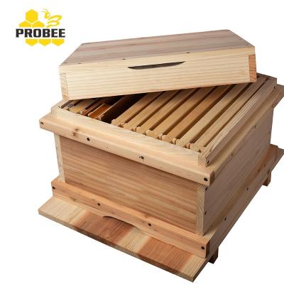 China Korean Native Farms 10 Frames Beehive Box For Beekeeping for sale