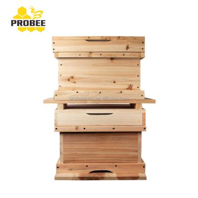 China Korean Native Farms 7 Frames Beehive Box For Beekeeping for sale