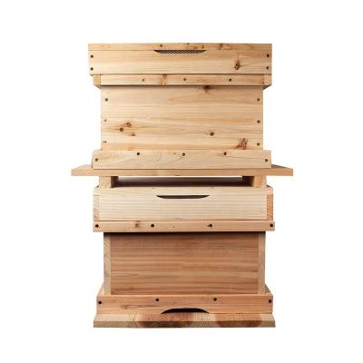 China Korean Bee Farms 7 Frames Hive Box Native Bee Box For Beekeeping for sale