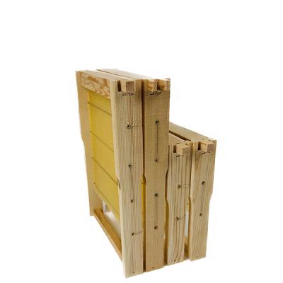 China Grow Probee Custom Korean Wooden Bee Hive Frames For Bees for sale