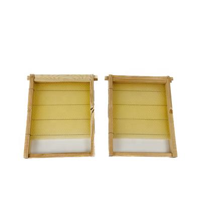 China Rears Custom Korean 1/2 Wooden Probee Bee Hive Frames For Beekeeping for sale