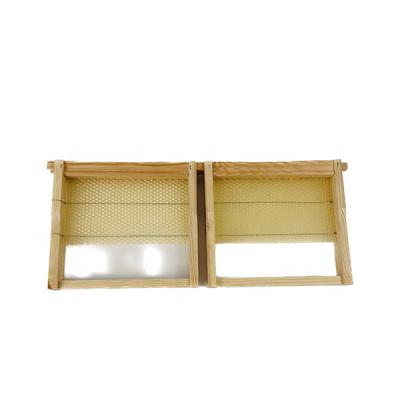 China Grow Probee Beehive 1/2 Custom Korean Wooden Mini Frames For Bees for sale