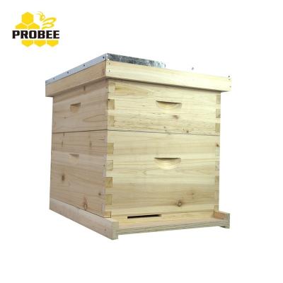 China Farms Langstroth Hive Beekeeping Hive Box 8 Frames Beekeeping Equipment From China for sale