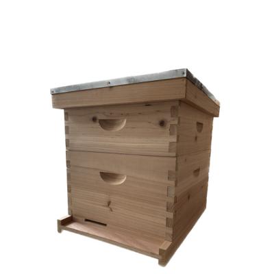 China Grow Hives 8 and 10 Frames Langstroth Wooden Beehive for sale