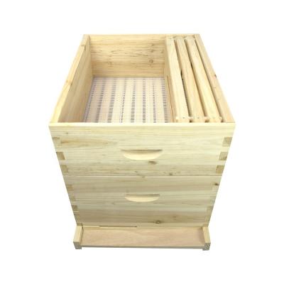 China Cultivate Hives 8 And 10 Frames Langstroth Wooden Bee Hive For Beekeeping for sale